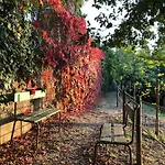Casas Dos Infantes - Gospodarstwo agroturystyczne