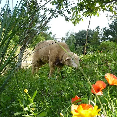 Vakantieboerderij Casas Dos Infantes - Caldas Da Rainha