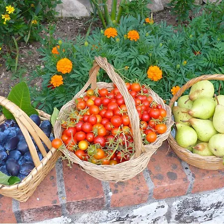 Farma Casas Dos Infantes -