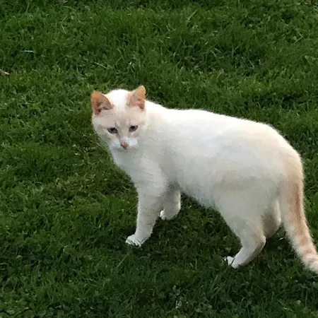 Vakantieboerderij Casas Dos Infantes - Caldas Da Rainha