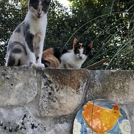 Casas Dos Infantes - * Caldas da Rainha