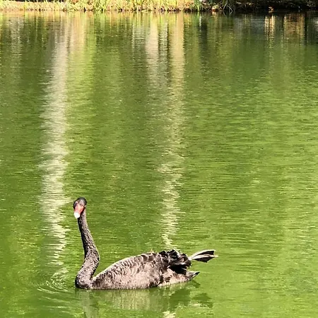 Casas Dos Infantes - * Caldas Da Rainha