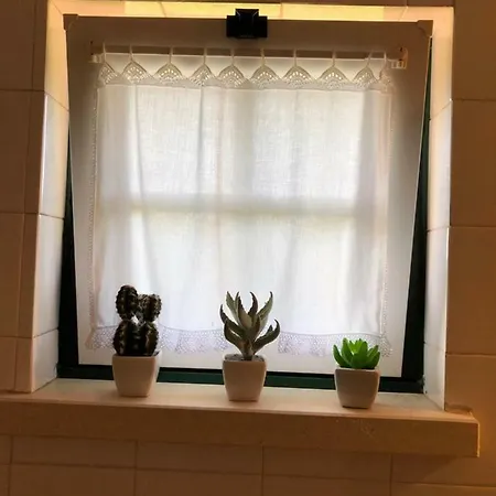 Farma Casas Dos Infantes - Caldas Da Rainha