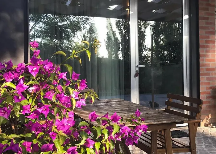 Séjour à la ferme Casas Dos Infantes - *