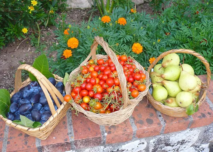 Séjour à la ferme Casas Dos Infantes -