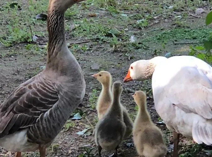 Casas Dos Infantes -