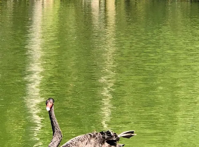 Casas Dos Infantes - * Caldas Da Rainha